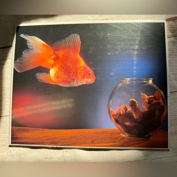 ๐ฌ CLEARANCE ITEM: NWT Summit Art Print Cat & Goldfish 8x10 print - Picture 1 of 5
